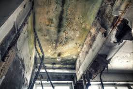 Mold Removal for HVAC Installations in Four Bridges, OH